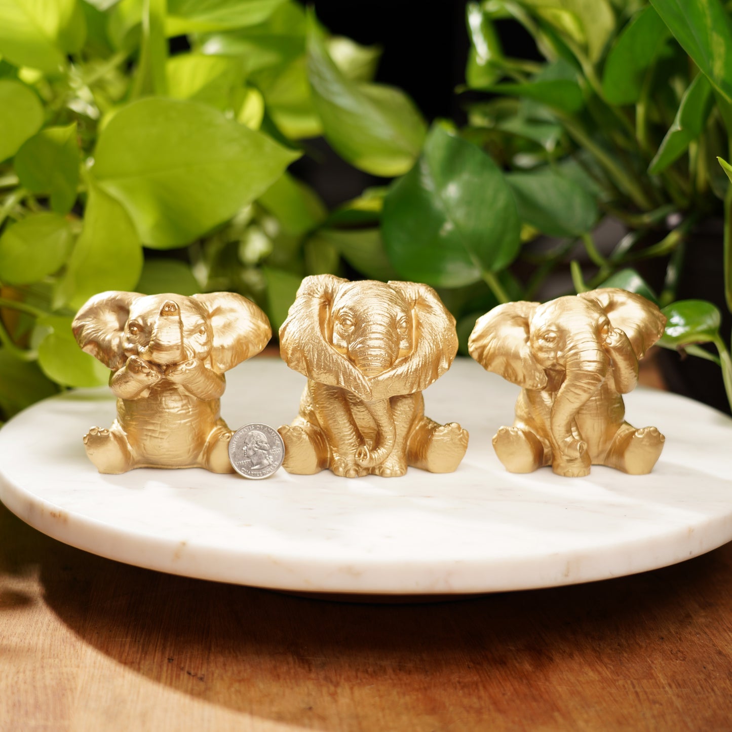 Speak No, See No, Hear No Evil Lucky Elephant Set