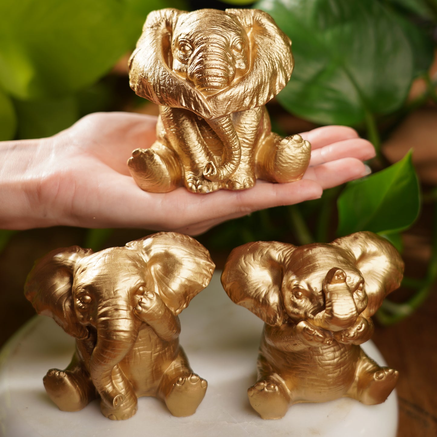 Speak No, See No, Hear No Evil Lucky Elephant Set