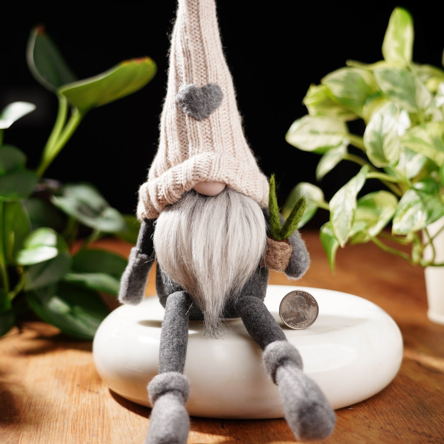 Plant Lover Gnome For Good Luck
